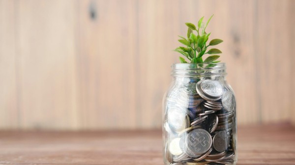 A small green plant in a glass jar of coins, illustrating the financial value and tax questions around life insurance proceeds.
